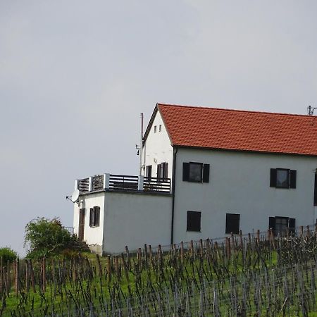 Kellerstockl Eisenberg/Pinka Weiner Villa Eisenberg an der Pinka Exterior photo